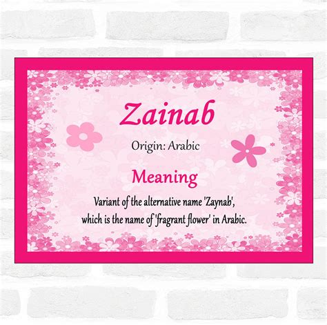 meaning of the name zainab.